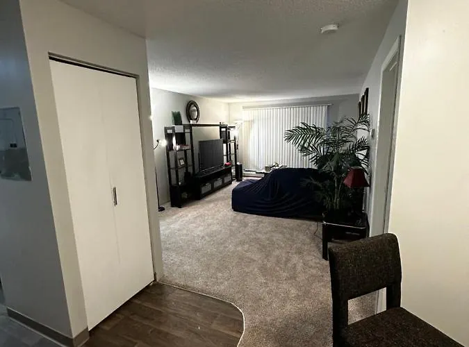 Aparthotel Glamour Homes With Balcony View, Free Champagne, Parking Next To Major Attractions Bloomington