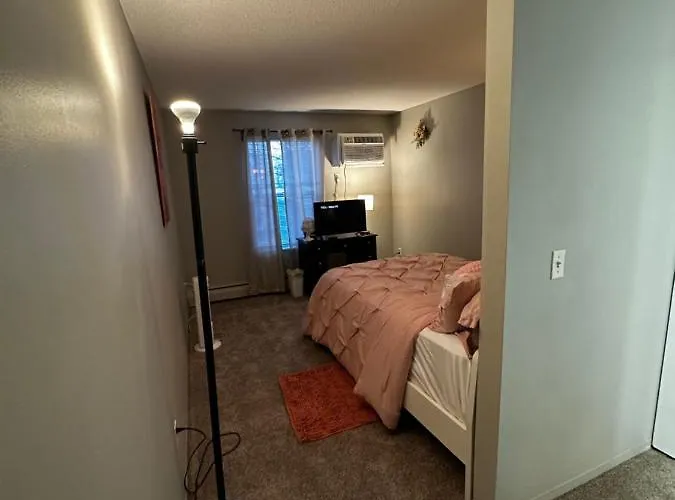 Glamour Homes With Balcony View, Free Champagne, Parking Next To Major Attractions Bloomington